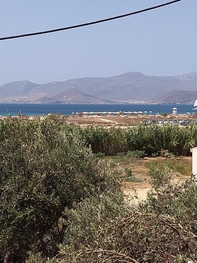 Nikoletta Studios 1 Agios Prokopios  Exteriör bild